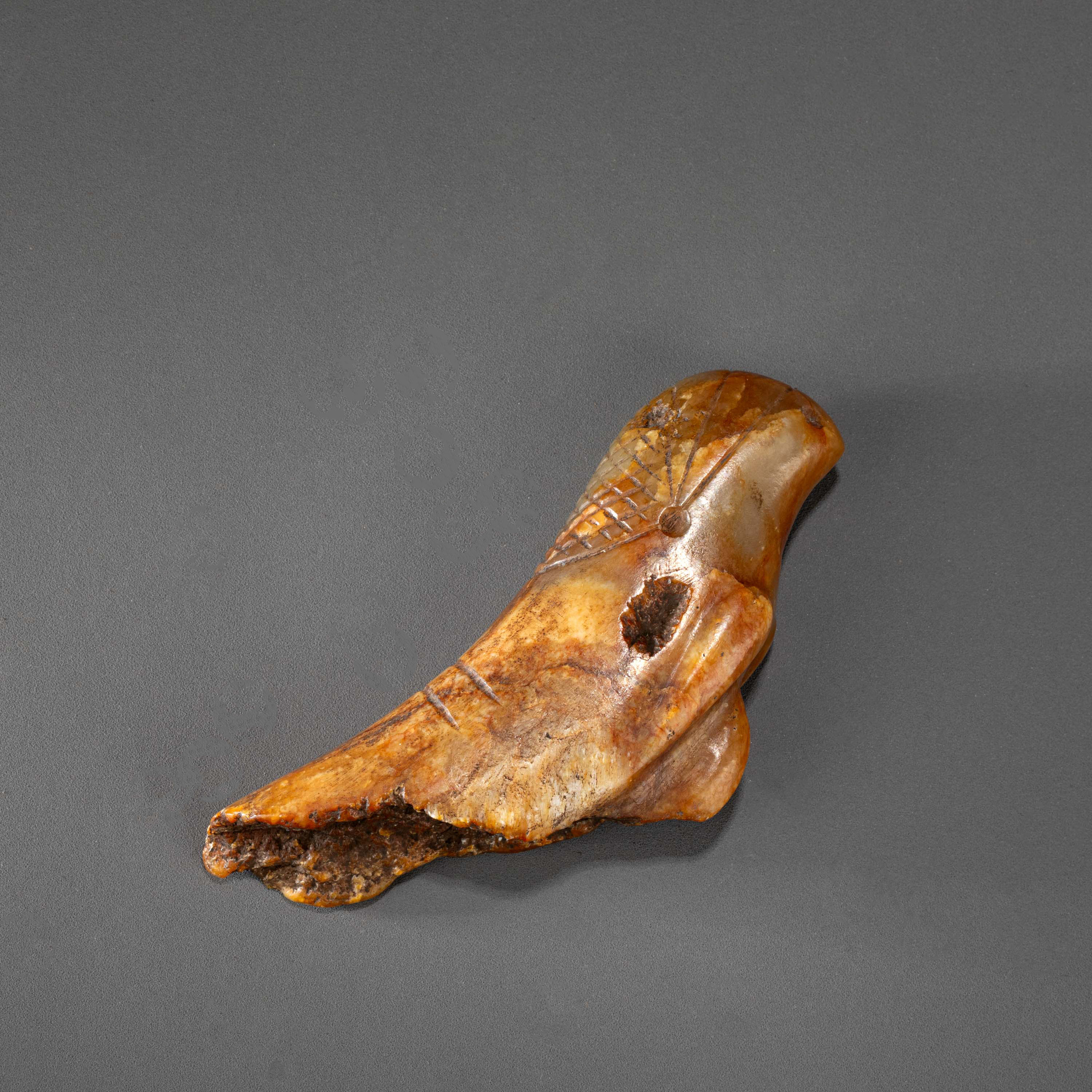 貨幣博物館 | 紅山文化 玉龍首