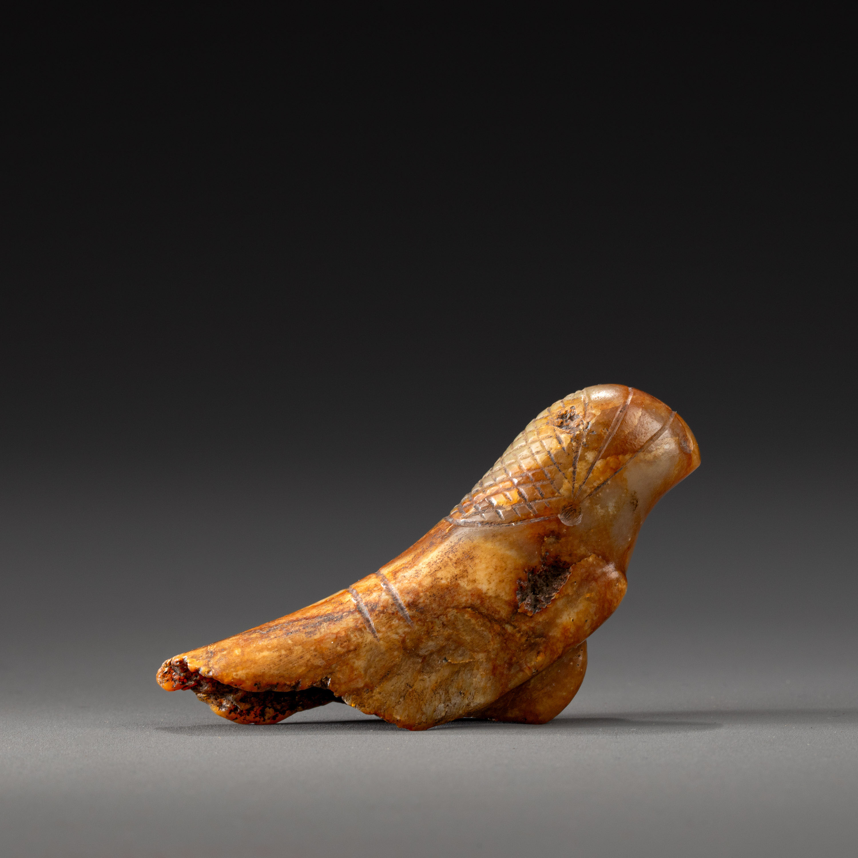 貨幣博物館 | 紅山文化 玉龍首