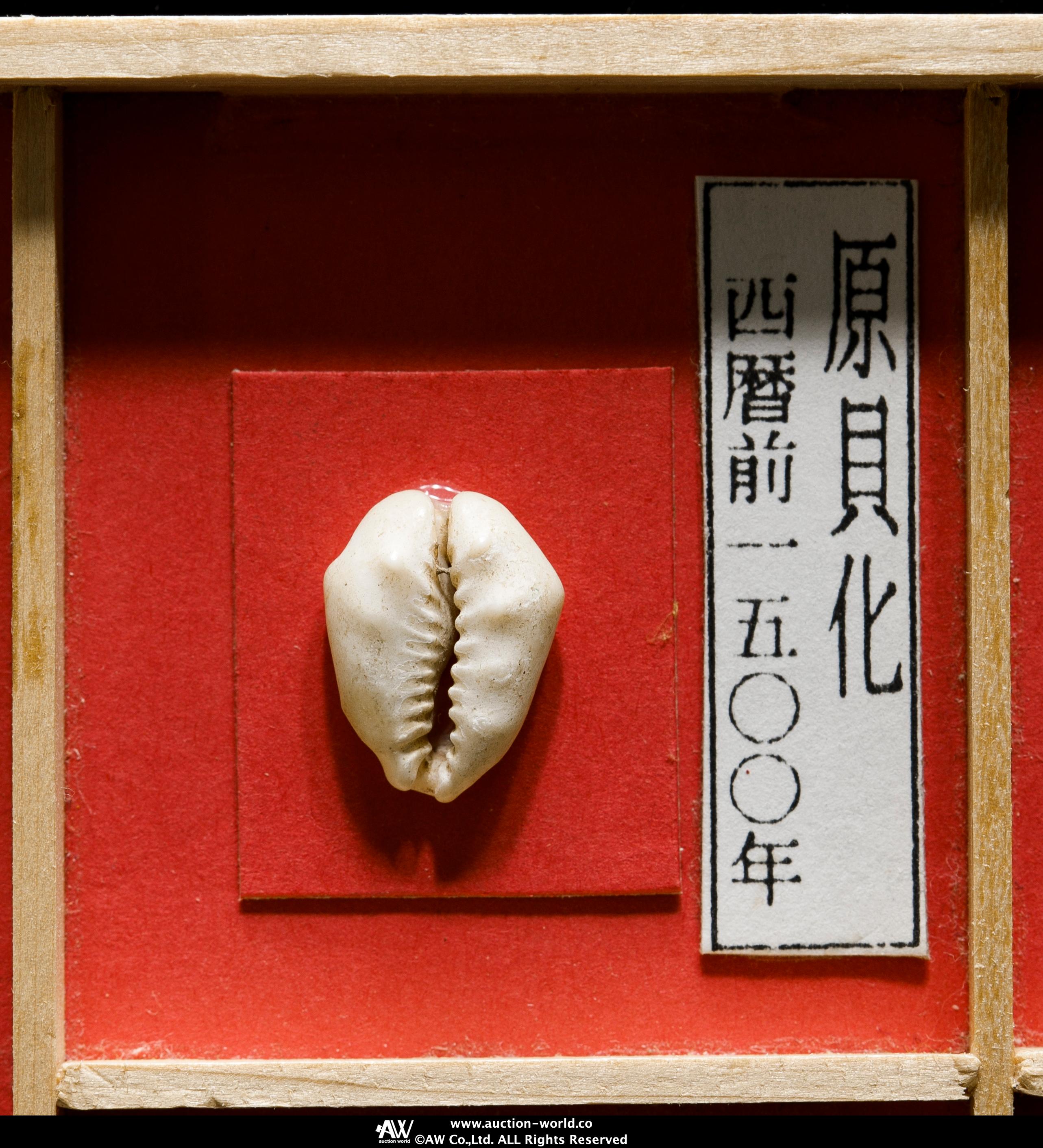貨幣博物館 | 中国古文銭セット7点入 返品不可 Sold as is No returns
