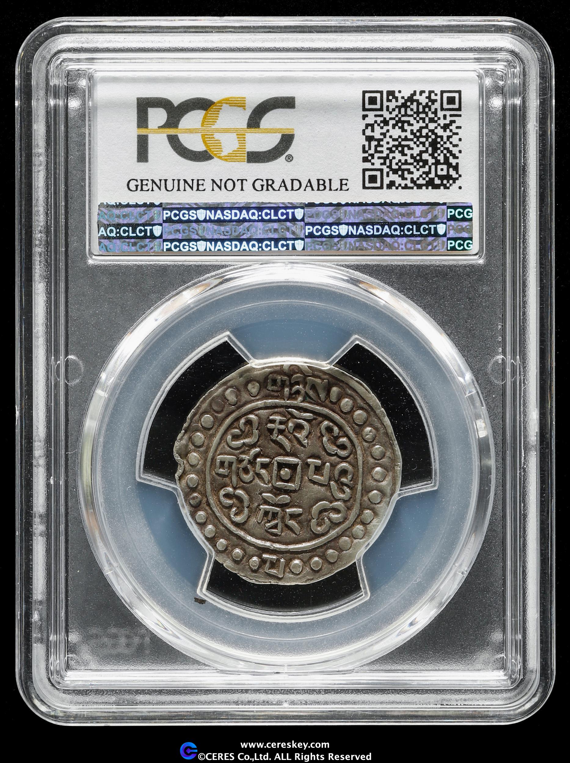 貨幣博物館 | PCGS-Genuine Damage-XF Detail 西蔵 Tibet 道光