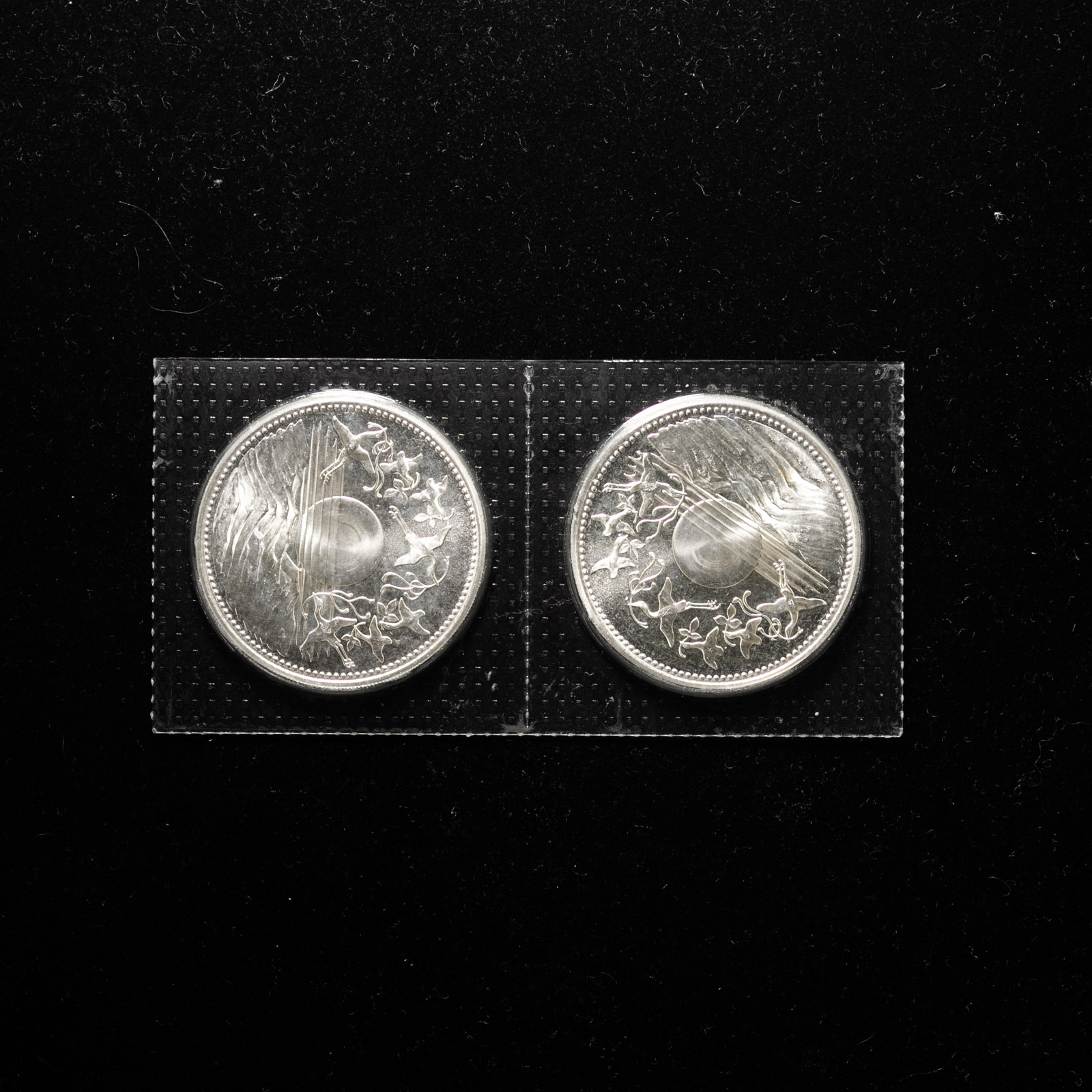 1万円銀貨 天皇陛下御在位60年記念10万円金貨幣 10000円銀貨 昭和天皇