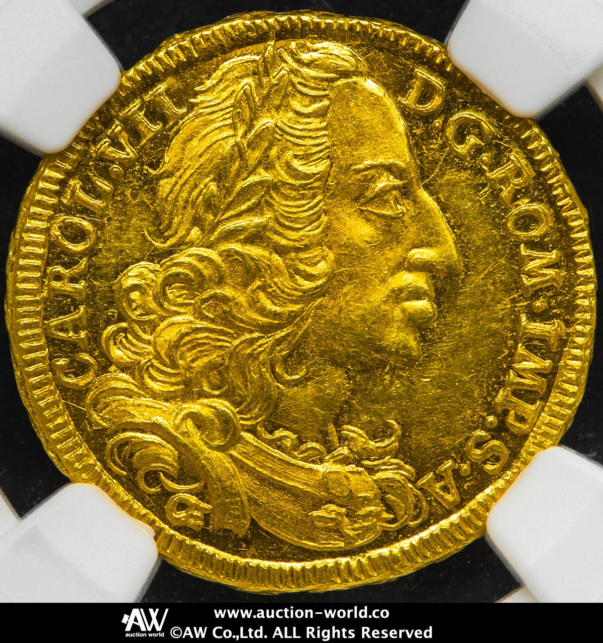 最後の1頭　台湾産　ゲンゴロウ　37mm 符節欠損 Auction-World